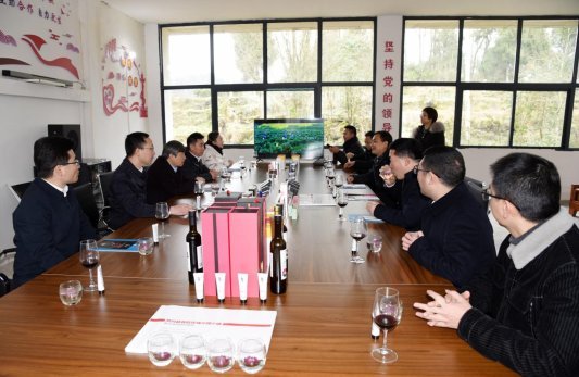 在临江村玫瑰园调研1